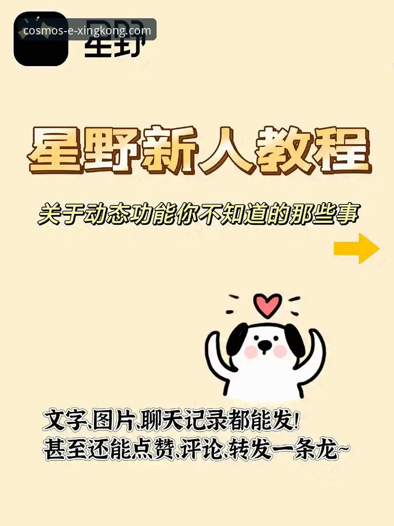 星空APP官方最新版本 星空入口平台:获取并体验星空APP官方最新版本完整教程