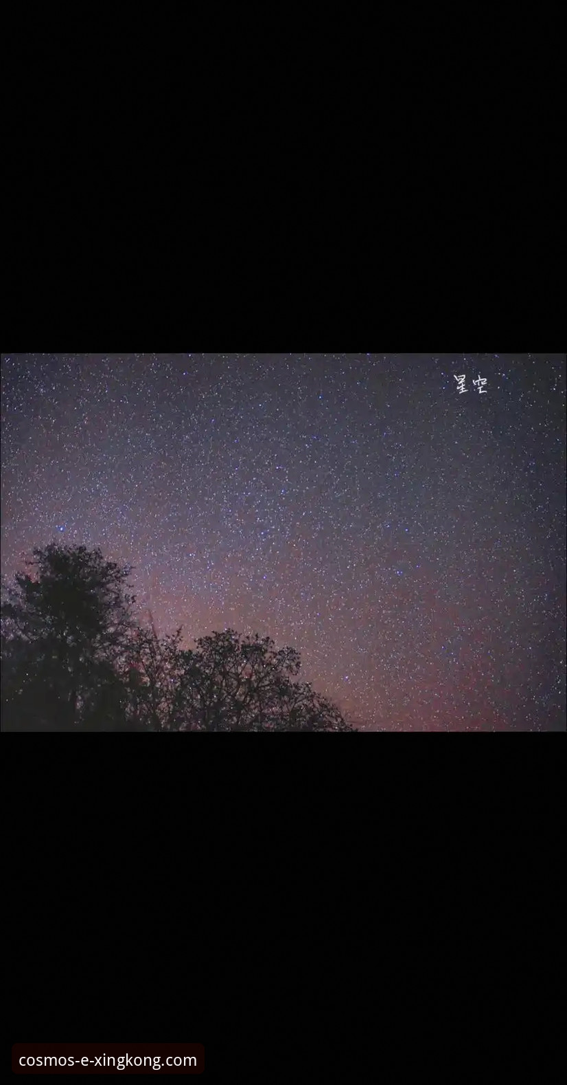 星空入口平台的3大核心优势：为何官方手机版是唯一选择？